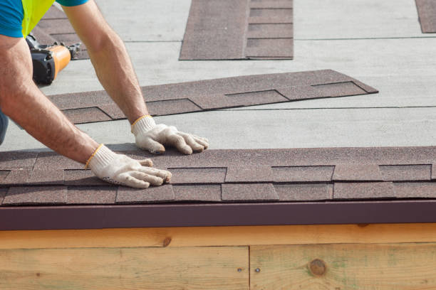 Best Chimney Flashing Repair  in Westview, FL